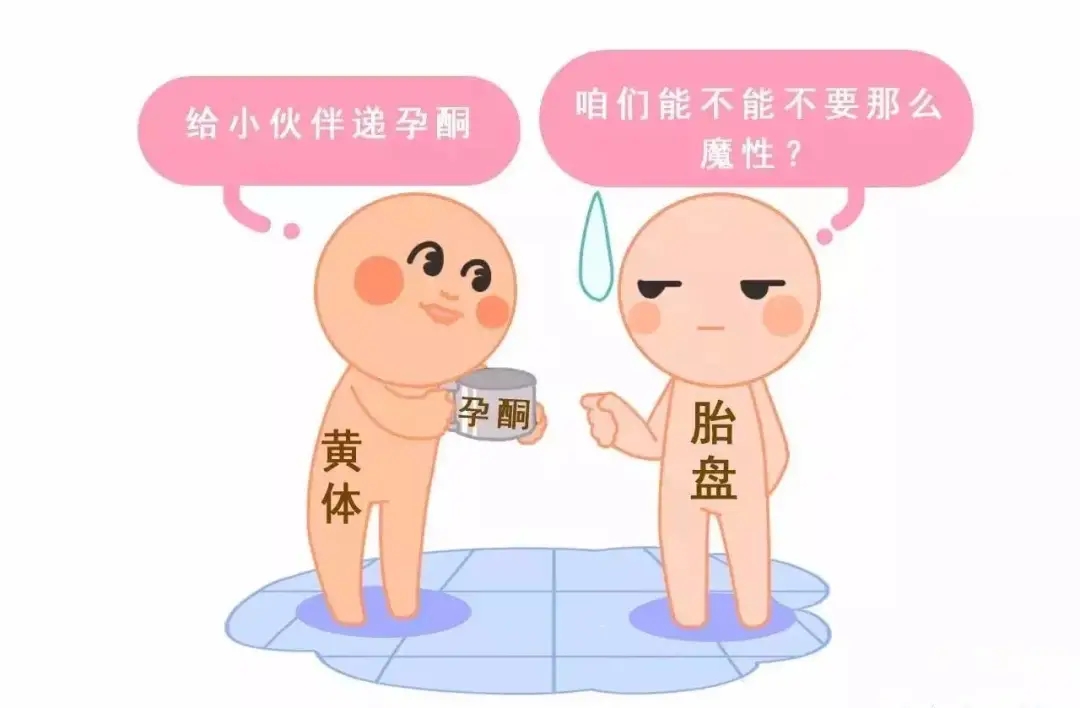 HCG和孕酮低一定会流产？备孕女性必须知道的孕早期“秘密”